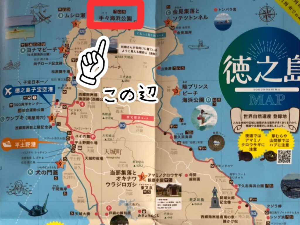 徳之島観光連盟ガイドブック